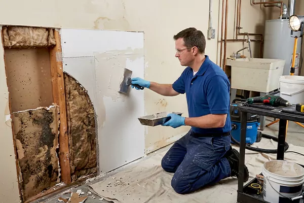 Mold and Drywall Repair Maple Valley