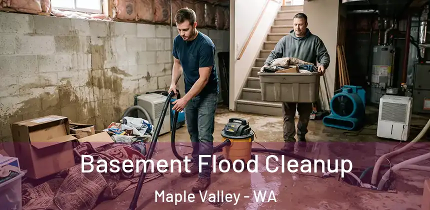  Basement Flood Cleanup Maple Valley - WA