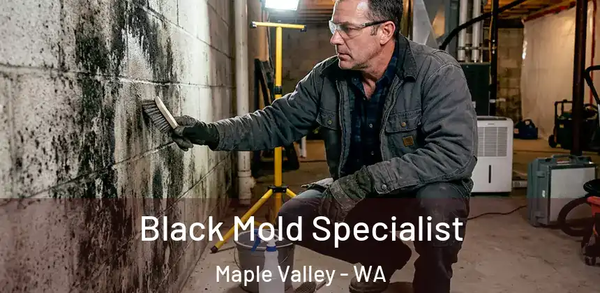  Black Mold Specialist Maple Valley - WA