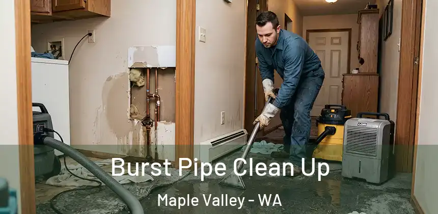  Burst Pipe Clean Up Maple Valley - WA