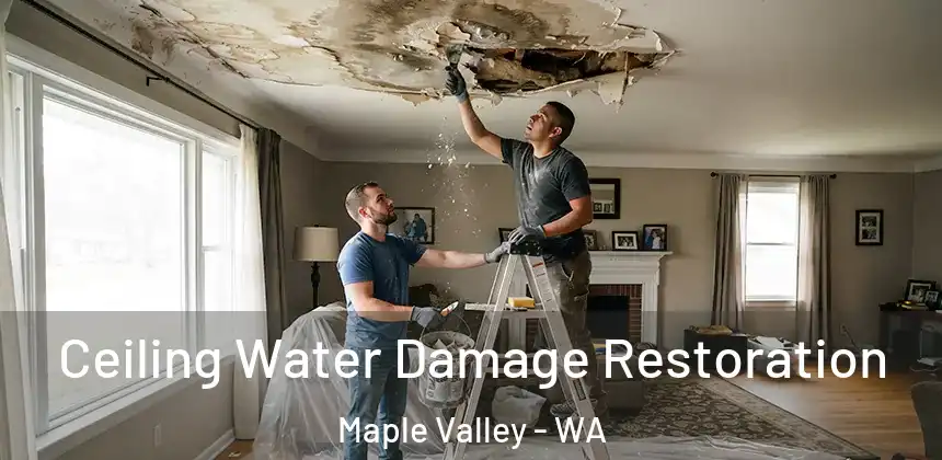  Ceiling Water Damage Restoration Maple Valley - WA