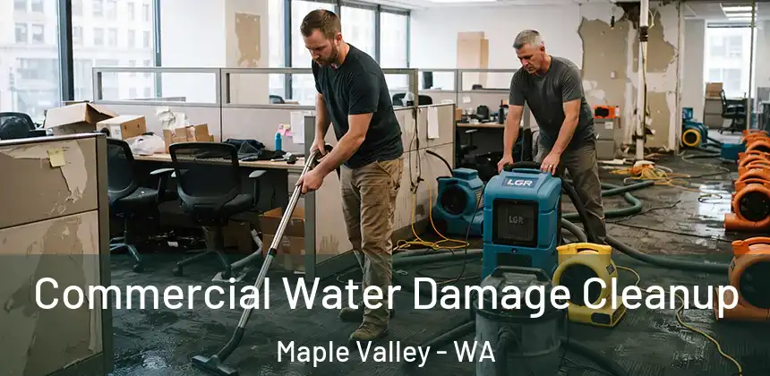 Commercial Water Damage Cleanup Maple Valley - WA