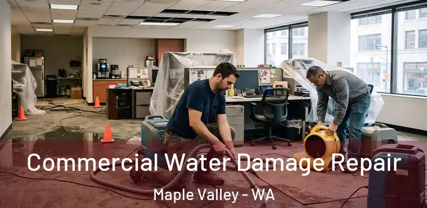 Commercial Water Damage Repair Maple Valley - WA