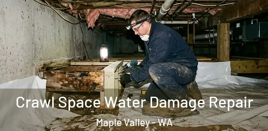 Crawl Space Water Damage Repair Maple Valley - WA