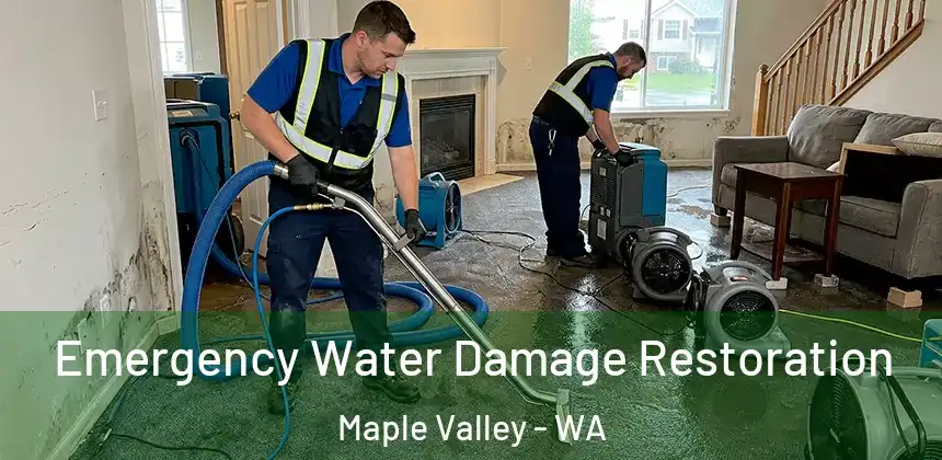 Emergency Water Damage Restoration Maple Valley - WA