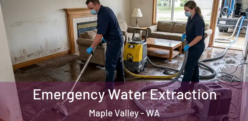  Emergency Water Extraction Maple Valley - WA