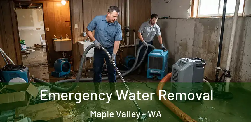  Emergency Water Removal Maple Valley - WA
