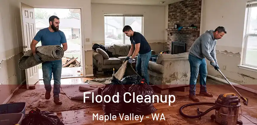  Flood Cleanup Maple Valley - WA