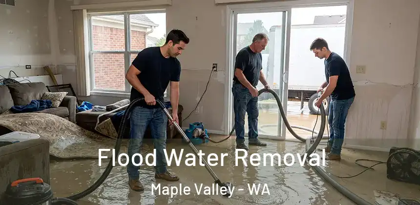  Flood Water Removal Maple Valley - WA