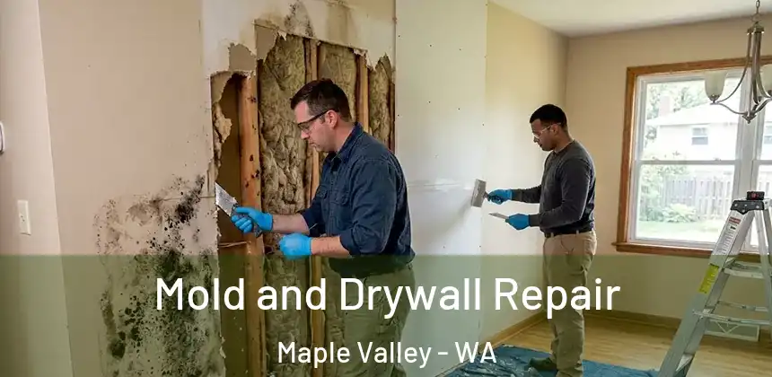 Mold and Drywall Repair Maple Valley - WA