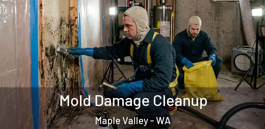  Mold Damage Cleanup Maple Valley - WA