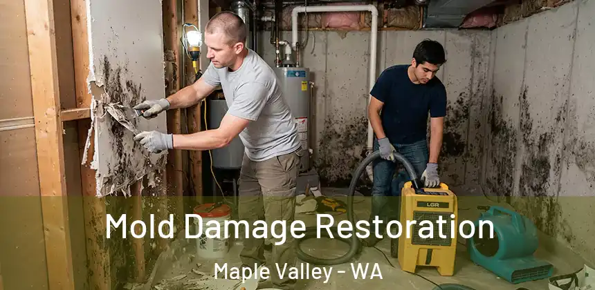  Mold Damage Restoration Maple Valley - WA