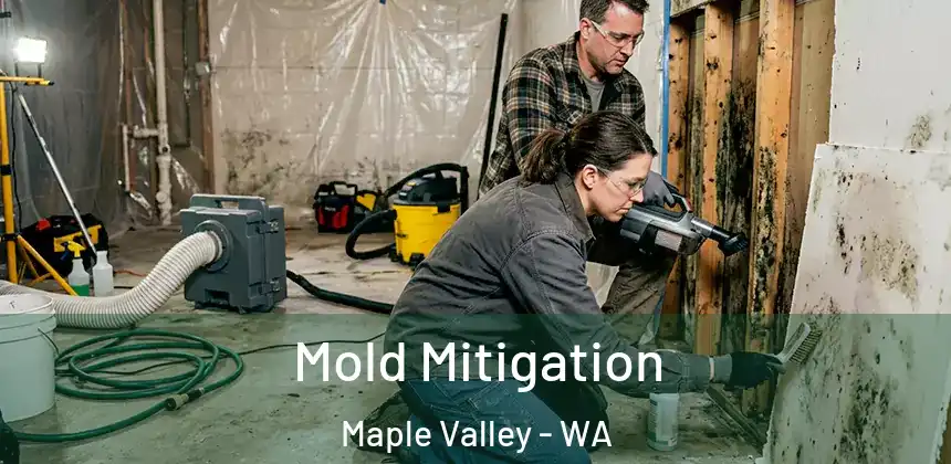 Mold Mitigation Maple Valley - WA