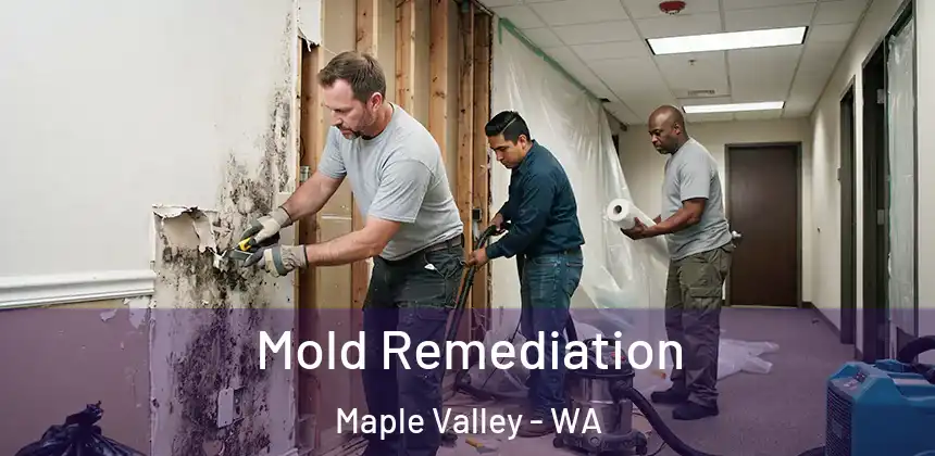  Mold Remediation Maple Valley - WA