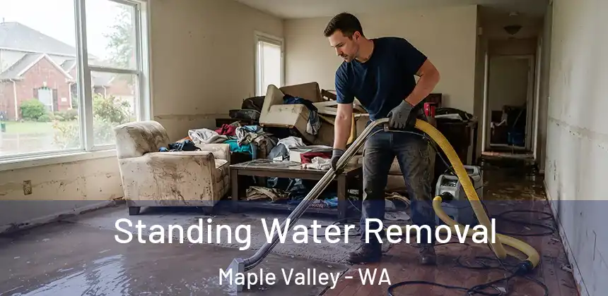  Standing Water Removal Maple Valley - WA