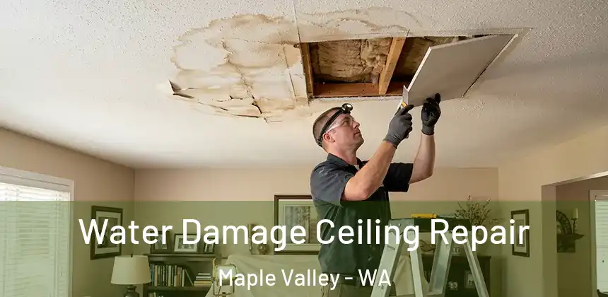  Water Damage Ceiling Repair Maple Valley - WA