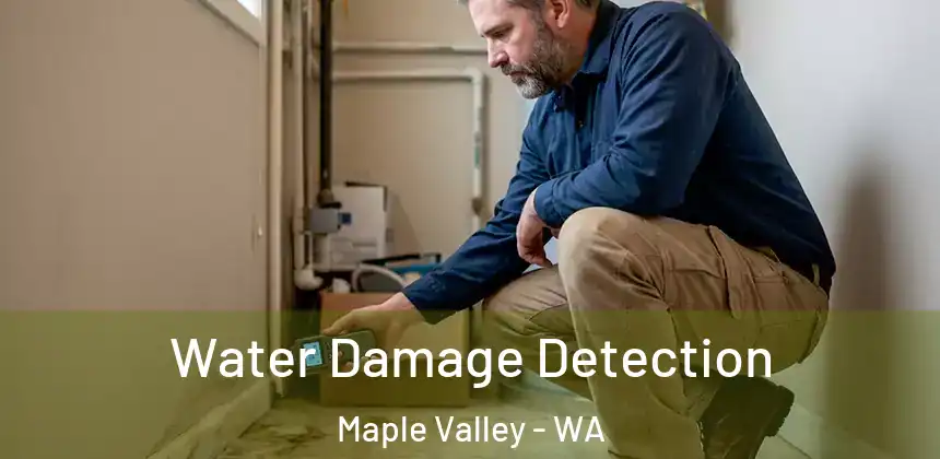  Water Damage Detection Maple Valley - WA