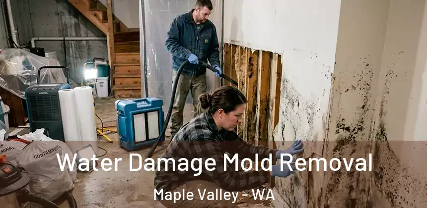 Water Damage Mold Removal Maple Valley - WA