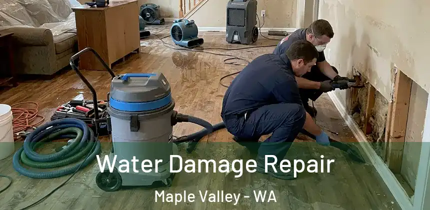  Water Damage Repair Maple Valley - WA