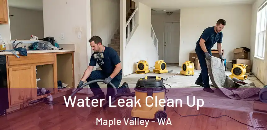  Water Leak Clean Up Maple Valley - WA