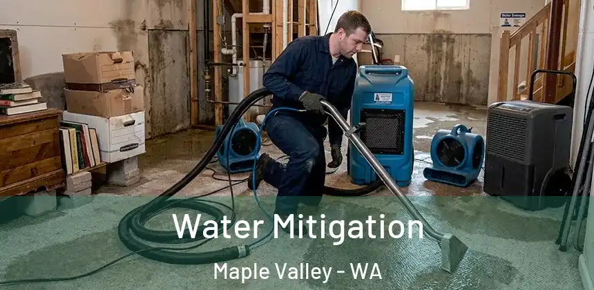  Water Mitigation Maple Valley - WA