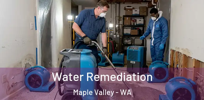  Water Remediation Maple Valley - WA