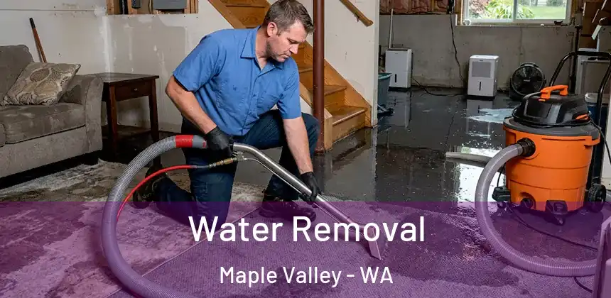  Water Removal Maple Valley - WA