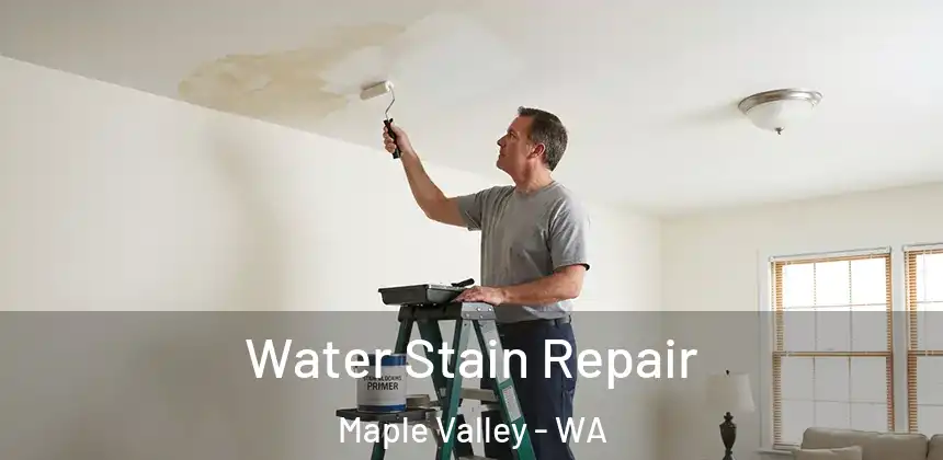 Water Stain Repair Maple Valley - WA
